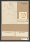 Coscinodiscus ? rudis Castrac. (de-Toni-Nr.: Genus 202, Species 5151) Zeichnungen Sammlung Grunow Nr. 8900 (NHMW-BOT-W0378556)